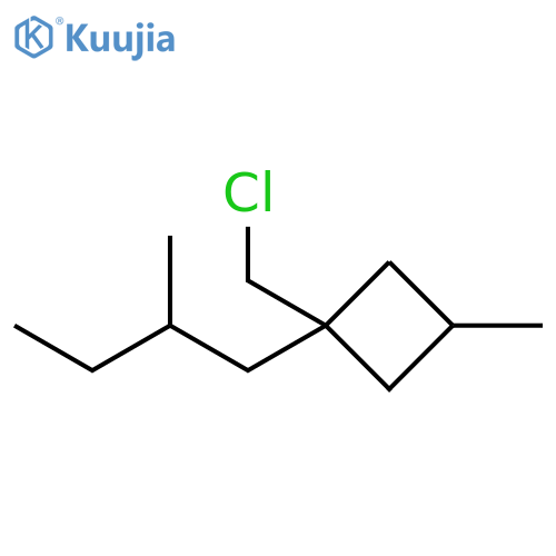 Cyclobutane, 1-(chloromethyl)-3-methyl-1-(2-methylbutyl)- structure