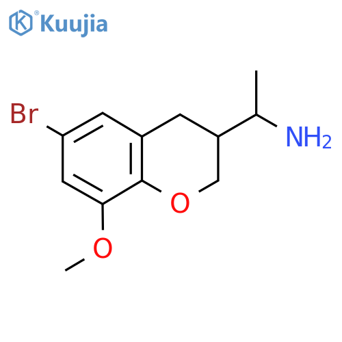 1-(6-bromo-8-methoxy-3,4-dihydro-2H-1-benzopyran-3-yl)ethan-1-amine structure