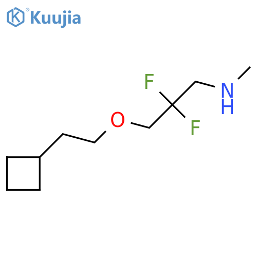 [3-(2-Cyclobutylethoxy)-2,2-difluoropropyl](methyl)amine structure