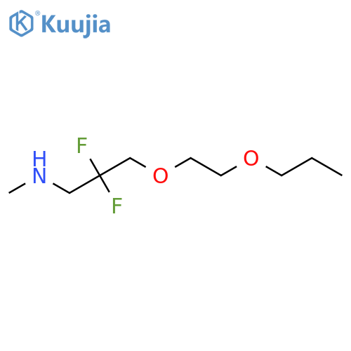 2,2-difluoro-N-methyl-3-(2-propoxyethoxy)propan-1-amine structure
