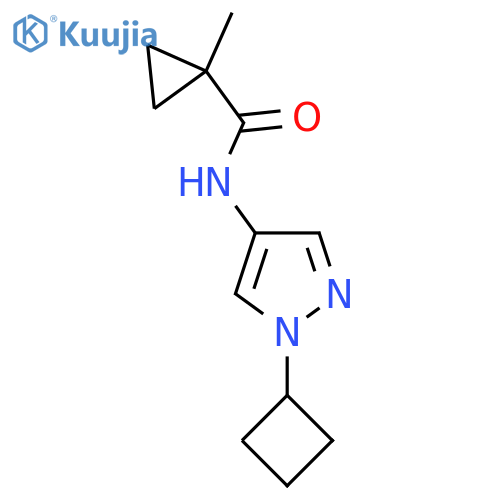 N-(1-cyclobutyl-1H-pyrazol-4-yl)-1-methylcyclopropane-1-carboxamide structure