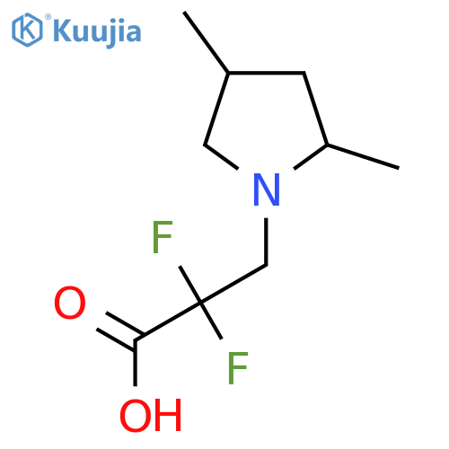 3-(2,4-Dimethylpyrrolidin-1-yl)-2,2-difluoropropanoic acid structure