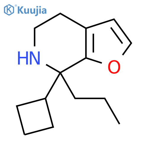 7-cyclobutyl-7-propyl-4H,5H,6H,7H-furo2,3-cpyridine structure