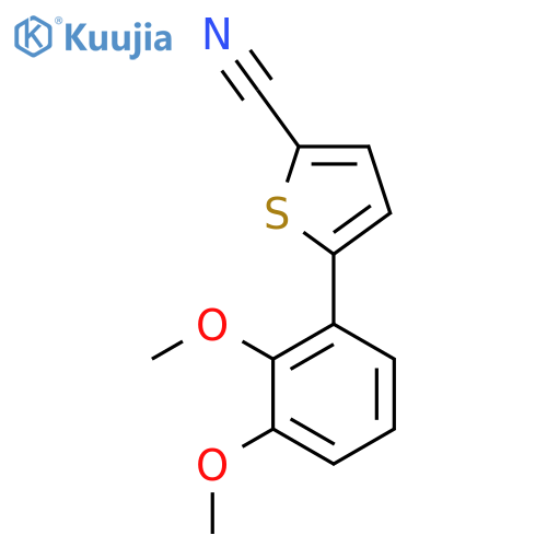 5-(2,3-Dimethoxyphenyl)thiophene-2-carbonitrile structure