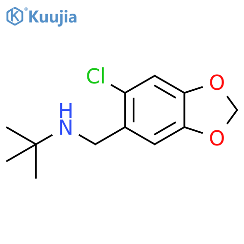 1,3-Benzodioxole-5-methanamine, 6-chloro-N-(1,1-dimethylethyl)- structure