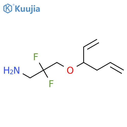 2,2-Difluoro-3-(hexa-1,5-dien-3-yloxy)propan-1-amine structure