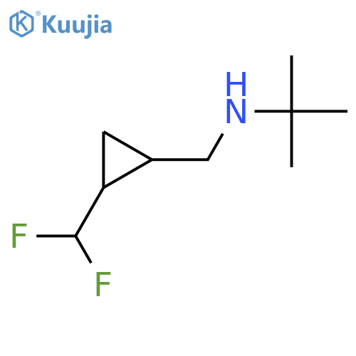 N-[[2-(difluoromethyl)cyclopropyl]methyl]-2-methylpropan-2-amine structure