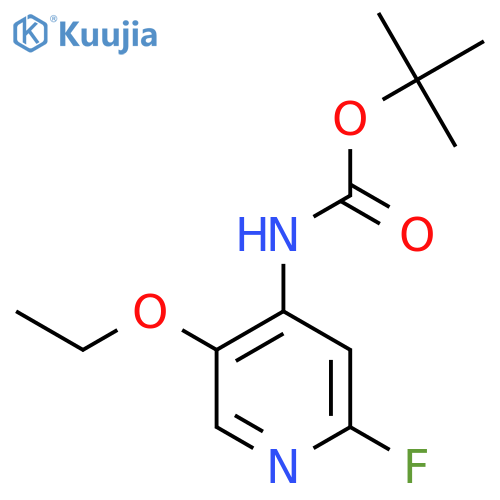 tert-butyl N-(5-ethoxy-2-fluoropyridin-4-yl)carbamate structure