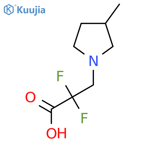 2,2-Difluoro-3-(3-methylpyrrolidin-1-yl)propanoic acid structure