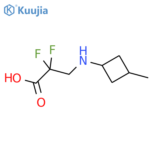 2,2-Difluoro-3-[(3-methylcyclobutyl)amino]propanoic acid structure