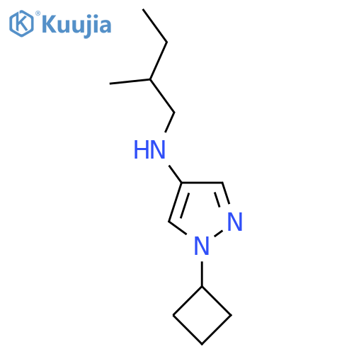 1-cyclobutyl-N-(2-methylbutyl)-1H-pyrazol-4-amine structure