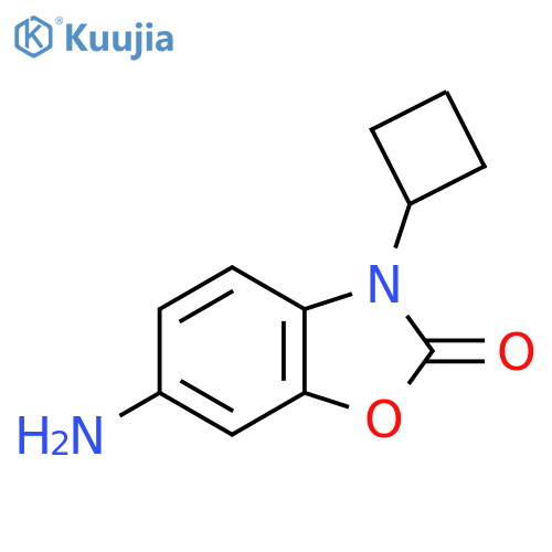 6-amino-3-cyclobutyl-2,3-dihydro-1,3-benzoxazol-2-one structure