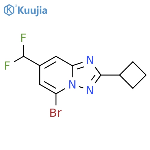 5-bromo-2-cyclobutyl-7-(difluoromethyl)-1,2,4triazolo1,5-apyridine structure