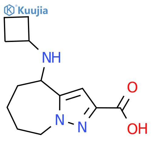 4-(cyclobutylamino)-4H,5H,6H,7H,8H-pyrazolo1,5-aazepine-2-carboxylic acid structure