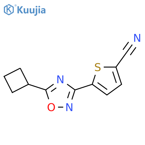 5-(5-Cyclobutyl-1,2,4-oxadiazol-3-yl)thiophene-2-carbonitrile structure
