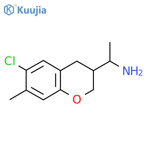 1-(6-chloro-7-methyl-3,4-dihydro-2H-1-benzopyran-3-yl)ethan-1-amine structure