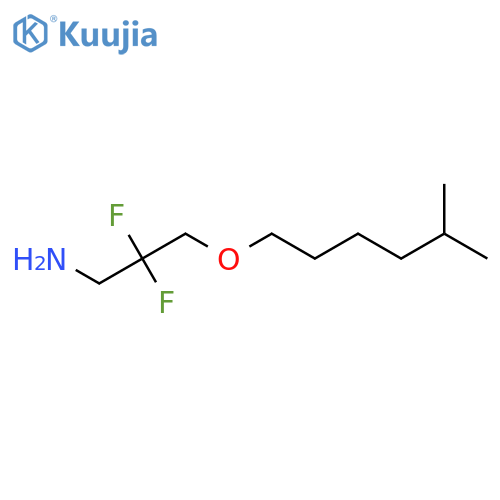 2,2-Difluoro-3-[(5-methylhexyl)oxy]propan-1-amine structure