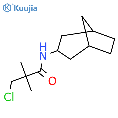 N-{bicyclo[3.2.1]octan-3-yl}-3-chloro-2,2-dimethylpropanamide structure