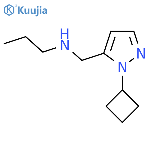 [(1-cyclobutyl-1H-pyrazol-5-yl)methyl](propyl)amine structure