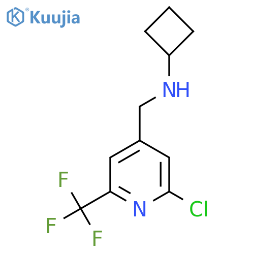 N-{2-chloro-6-(trifluoromethyl)pyridin-4-ylmethyl}cyclobutanamine structure