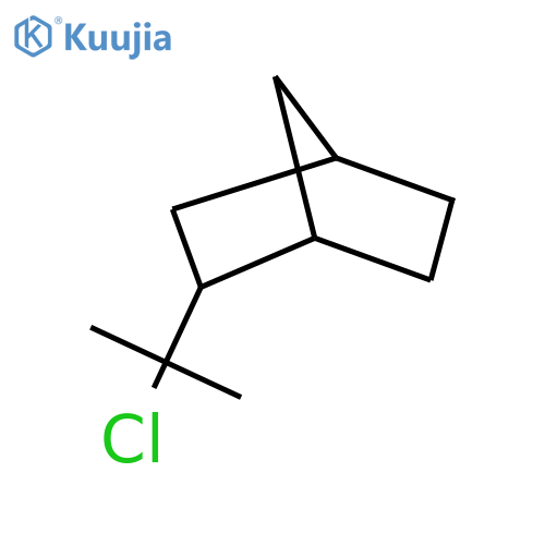 2-(2-chloropropan-2-yl)bicyclo2.2.1heptane structure