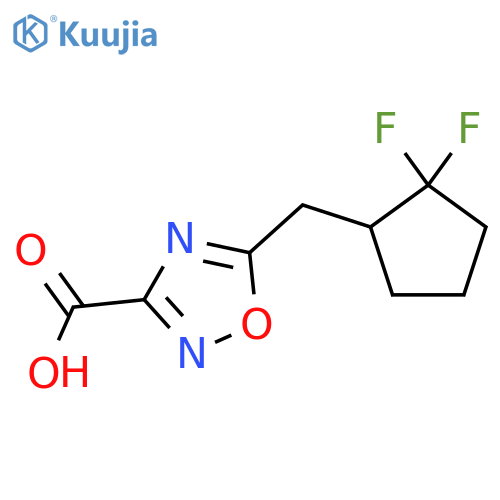 5-(2,2-difluorocyclopentyl)methyl-1,2,4-oxadiazole-3-carboxylic acid structure