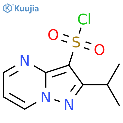 2-(propan-2-yl)pyrazolo1,5-apyrimidine-3-sulfonyl chloride structure