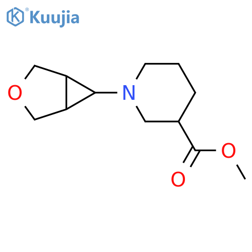 methyl 1-{3-oxabicyclo3.1.0hexan-6-yl}piperidine-3-carboxylate structure