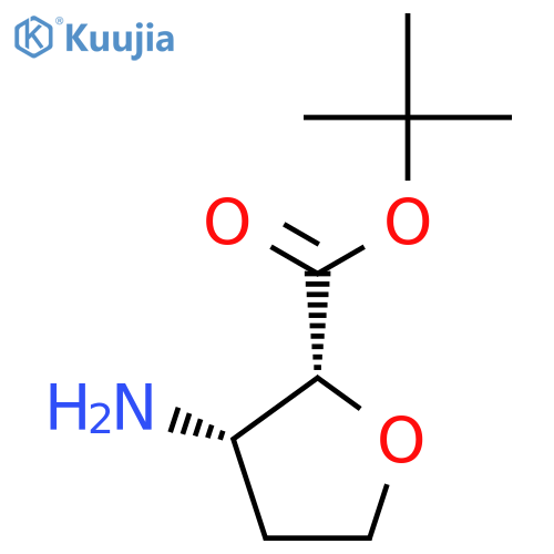 rac-tert-butyl (2R,3S)-3-aminooxolane-2-carboxylate structure