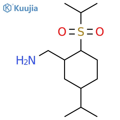 [5-(Propan-2-yl)-2-(propane-2-sulfonyl)cyclohexyl]methanamine structure