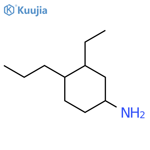 3-Ethyl-4-propylcyclohexan-1-amine structure