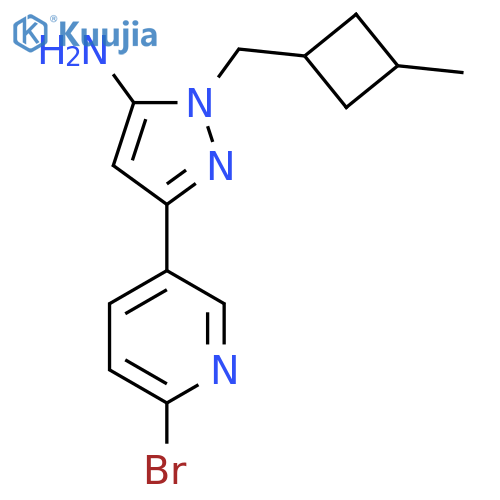 3-(6-bromopyridin-3-yl)-1-(3-methylcyclobutyl)methyl-1H-pyrazol-5-amine structure