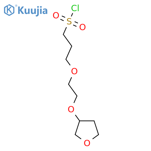 3-2-(oxolan-3-yloxy)ethoxypropane-1-sulfonyl chloride structure
