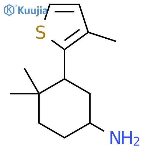 4,4-Dimethyl-3-(3-methylthiophen-2-yl)cyclohexan-1-amine structure