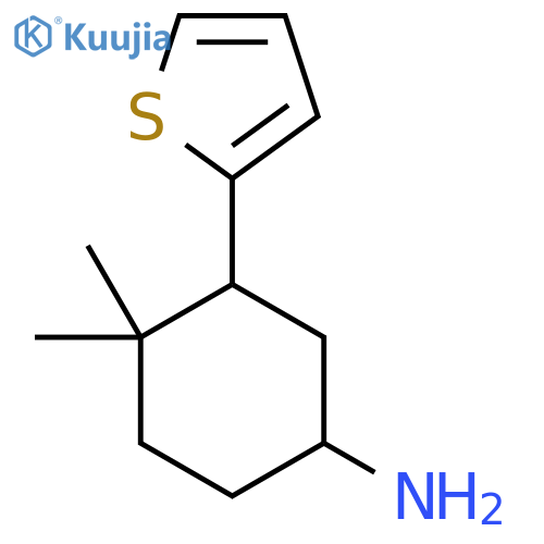 4,4-Dimethyl-3-(thiophen-2-yl)cyclohexan-1-amine structure