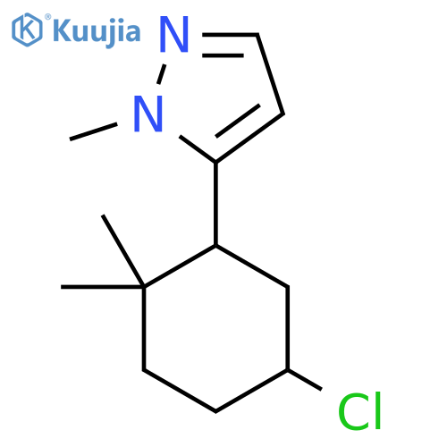 5-(5-chloro-2,2-dimethylcyclohexyl)-1-methyl-1H-pyrazole structure