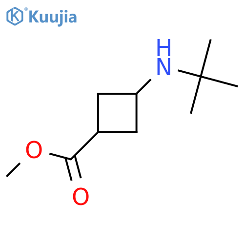 methyl 3-(tert-butylamino)cyclobutane-1-carboxylate structure