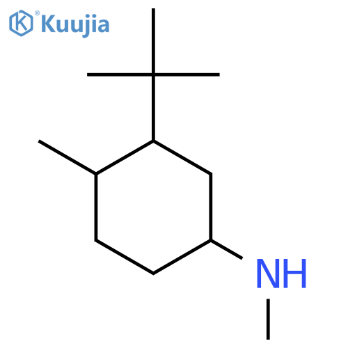 3-Tert-butyl-n,4-dimethylcyclohexan-1-amine structure
