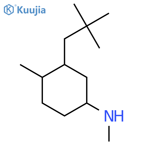 3-(2,2-dimethylpropyl)-N,4-dimethylcyclohexan-1-amine structure