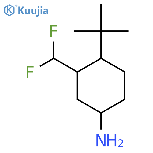 4-Tert-butyl-3-(difluoromethyl)cyclohexan-1-amine structure