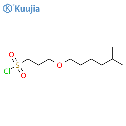 3-(5-methylhexyl)oxypropane-1-sulfonyl chloride structure