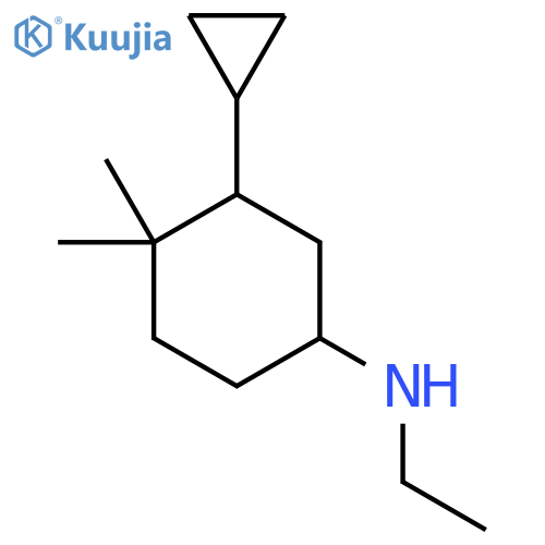 3-cyclopropyl-N-ethyl-4,4-dimethylcyclohexan-1-amine structure