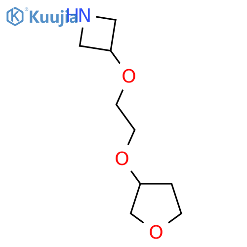 3-2-(oxolan-3-yloxy)ethoxyazetidine structure