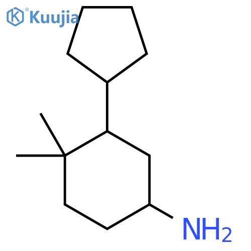 3-Cyclopentyl-4,4-dimethylcyclohexan-1-amine structure