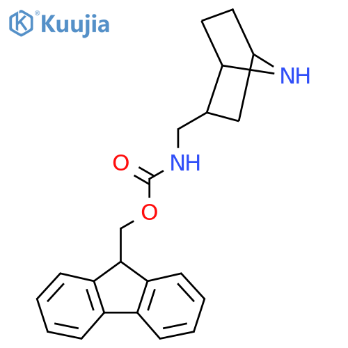 (9H-fluoren-9-yl)methyl N-({7-azabicyclo2.2.1heptan-2-yl}methyl)carbamate structure