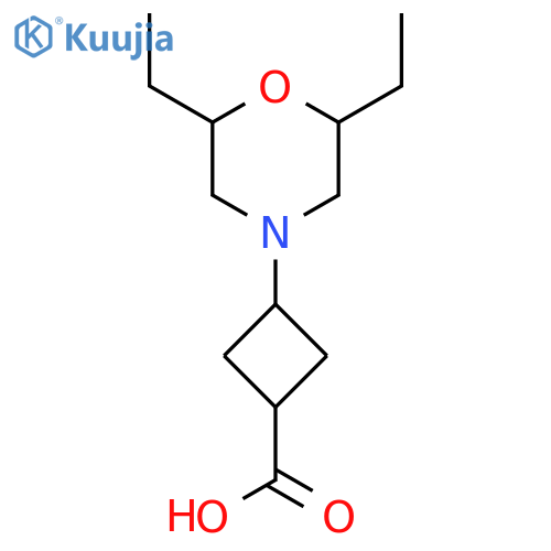 3-(2,6-diethylmorpholin-4-yl)cyclobutane-1-carboxylic acid structure