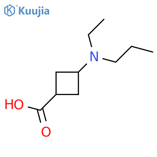 3-ethyl(propyl)aminocyclobutane-1-carboxylic acid structure