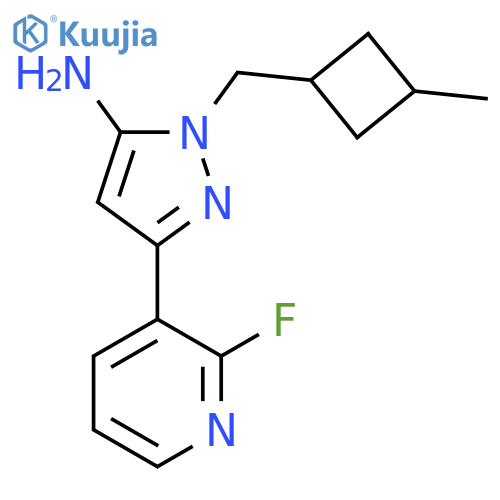 3-(2-fluoropyridin-3-yl)-1-(3-methylcyclobutyl)methyl-1H-pyrazol-5-amine structure
