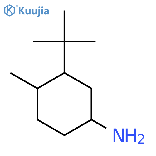 3-Tert-butyl-4-methylcyclohexan-1-amine structure