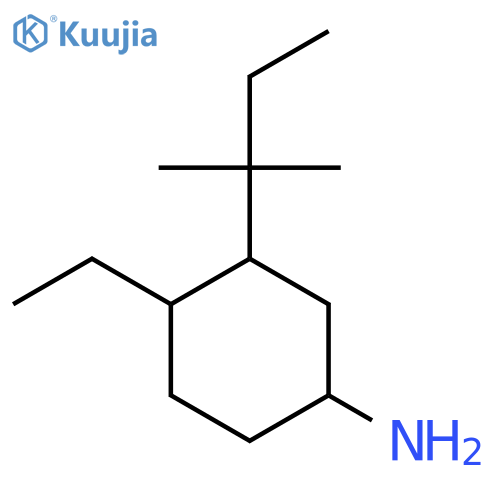 4-Ethyl-3-(2-methylbutan-2-yl)cyclohexan-1-amine structure